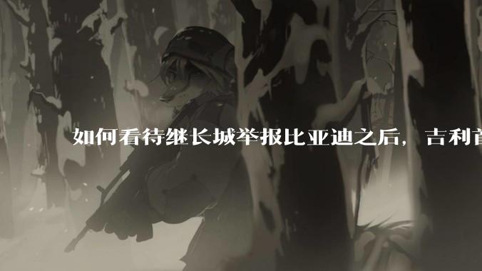 如何看待继长城举报比亚迪之后，吉利首次公开支持长城，广汽也力挺吉利发言，奇瑞说价格战是饮鸩止渴？
